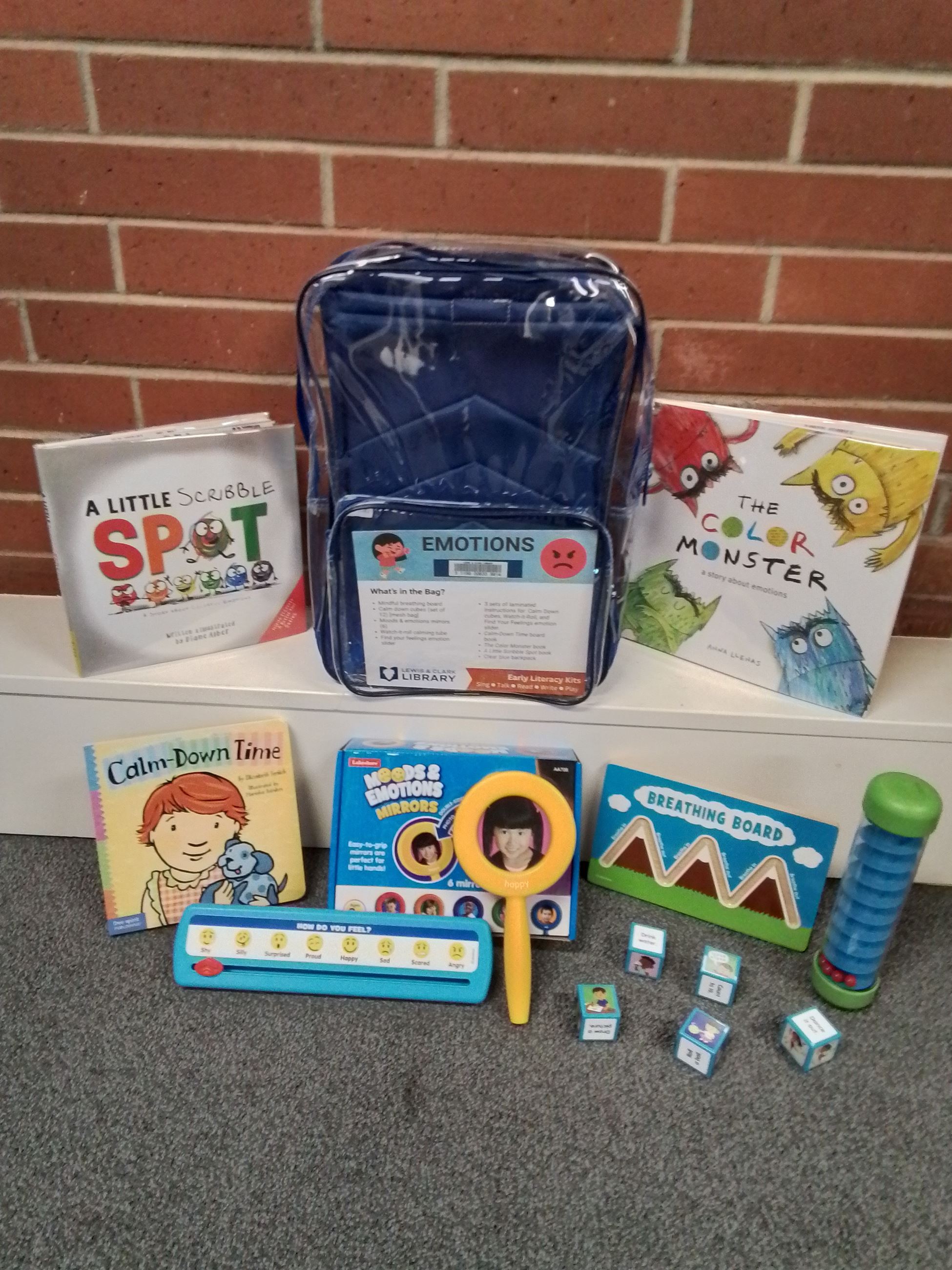 Emotions Early Literacy Kit Contents