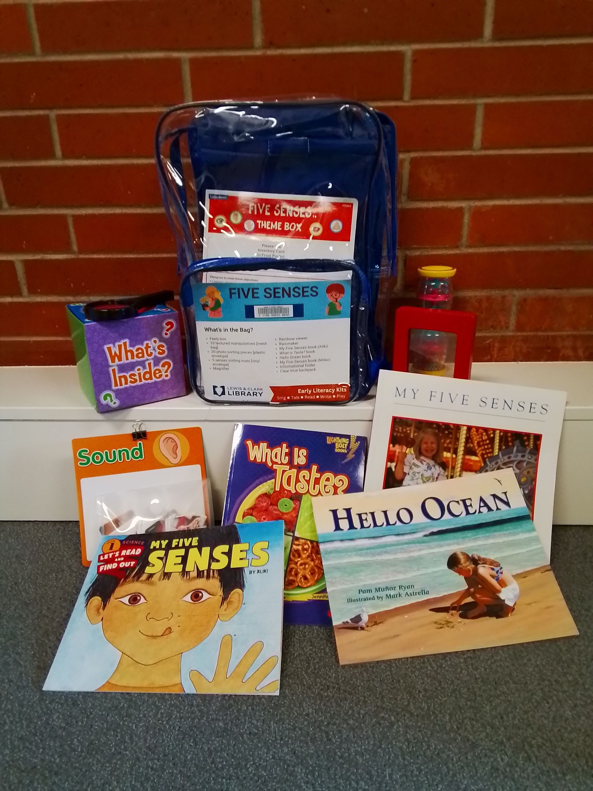 Five Senses Early Literacy Kit Contents